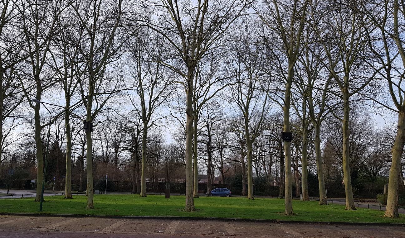 afbeelding "i_NL.IMRO.0866.BP00200-0201_0008.png"