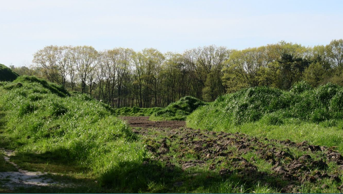 afbeelding "i_NL.IMRO.0866.BP00212-0201_0011.png"