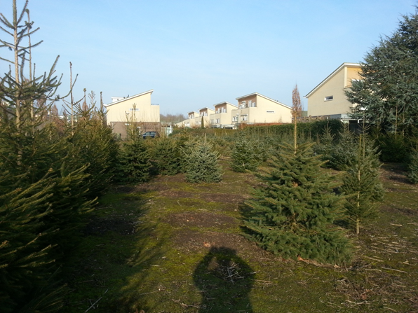 afbeelding "i_NL.IMRO.0353.201304HogeDijk-Vo01_0020.png"