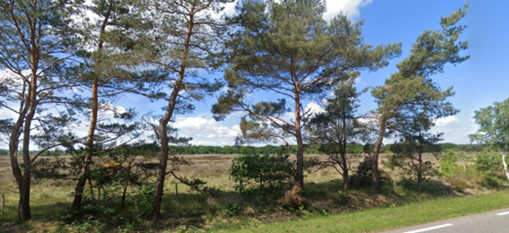 afbeelding "i_NL.IMRO.9925.IPWPHorstTelgt-vst1_0026.png"