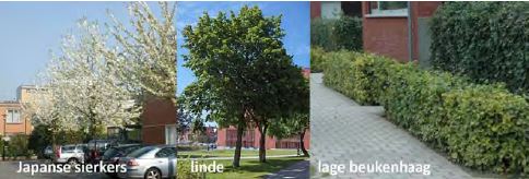 afbeelding "i_NL.IMRO.1771.BpTwekaterrein-BON1_0011.jpg"