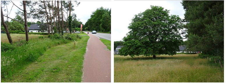 afbeelding "i_NL.IMRO.0246.218BPNachtegGrotew-VA01_0005.png"
