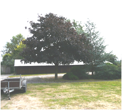 afbeelding "i_NL.IMRO.0269.BG130-VG01_0010.png"