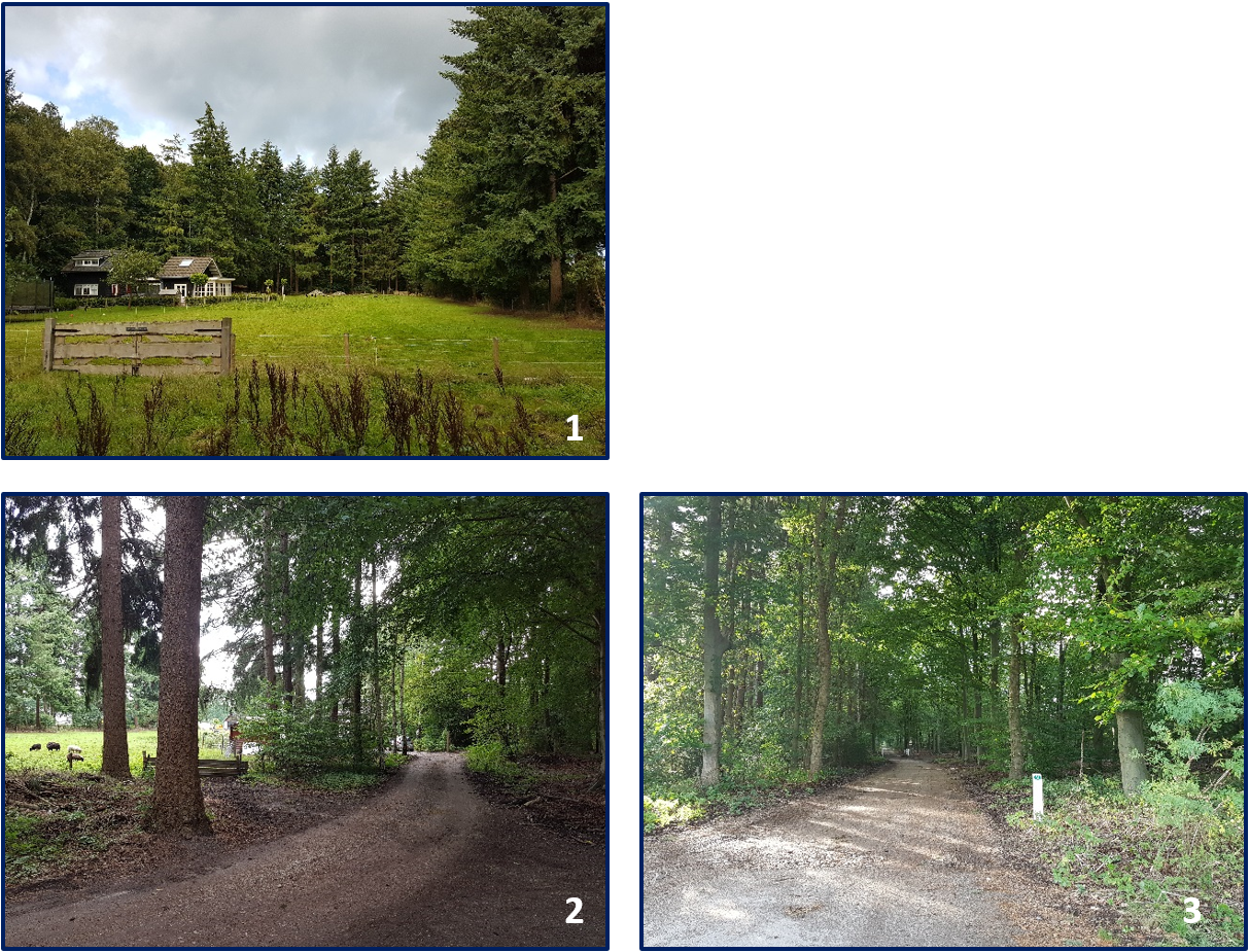 afbeelding "i_NL.IMRO.0246.811BUWWEZEWEG-ON01_0004.png"