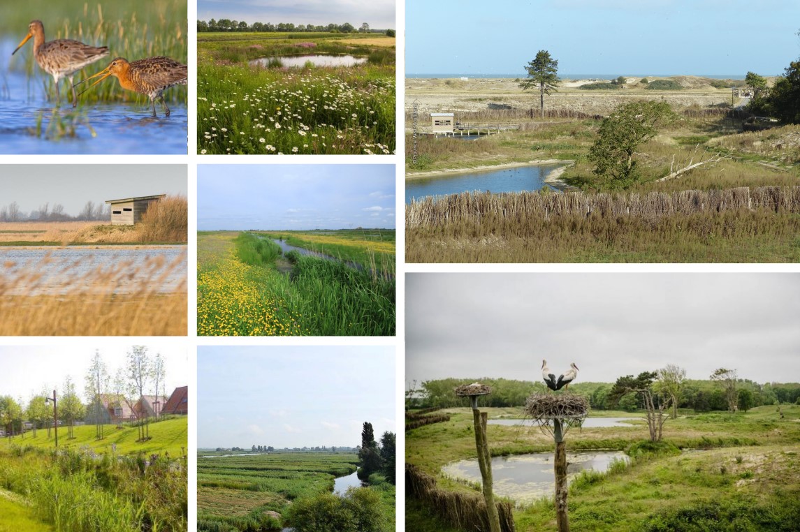 afbeelding "i_NL.IMRO.0677.bpperkpolder2H-001O_0006.jpg"