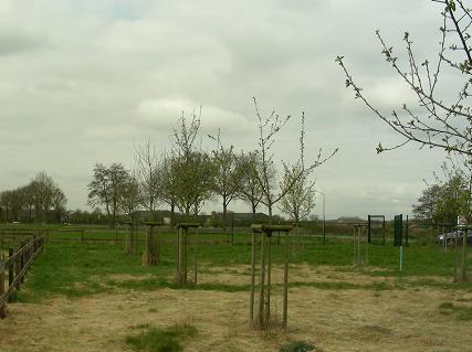 afbeelding "i_NL.IMRO.1685.bpschwilleven2012-ON01_0024.jpg"