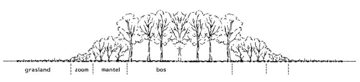 afbeelding "i_NL.IMRO.1685.BPsch2021RijkswgHM-OW01_0003.png"