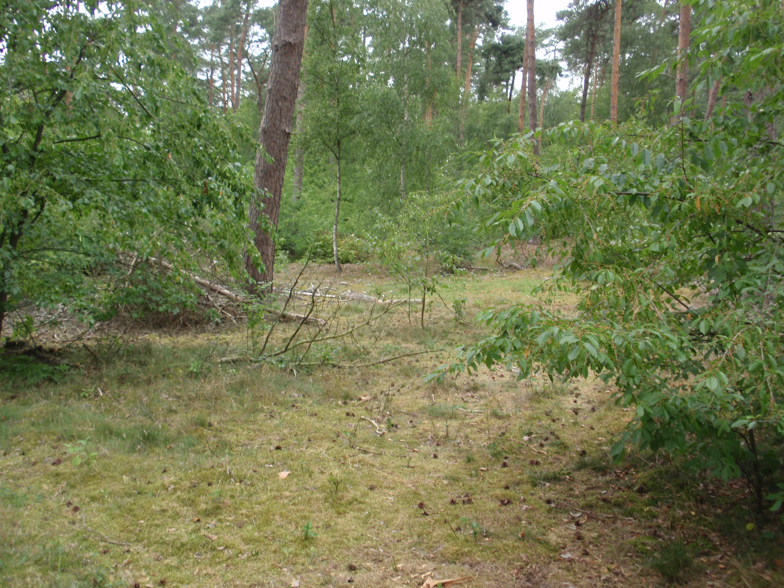 afbeelding "i_NL.IMRO.0168.01BP005PH06-0301_0007.jpg"