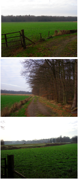 afbeelding "i_NL.IMRO.0168.BP09010-0403_0008.png"