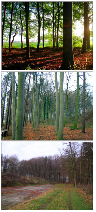 afbeelding "i_NL.IMRO.0168.BP09010-0403_0022.png"
