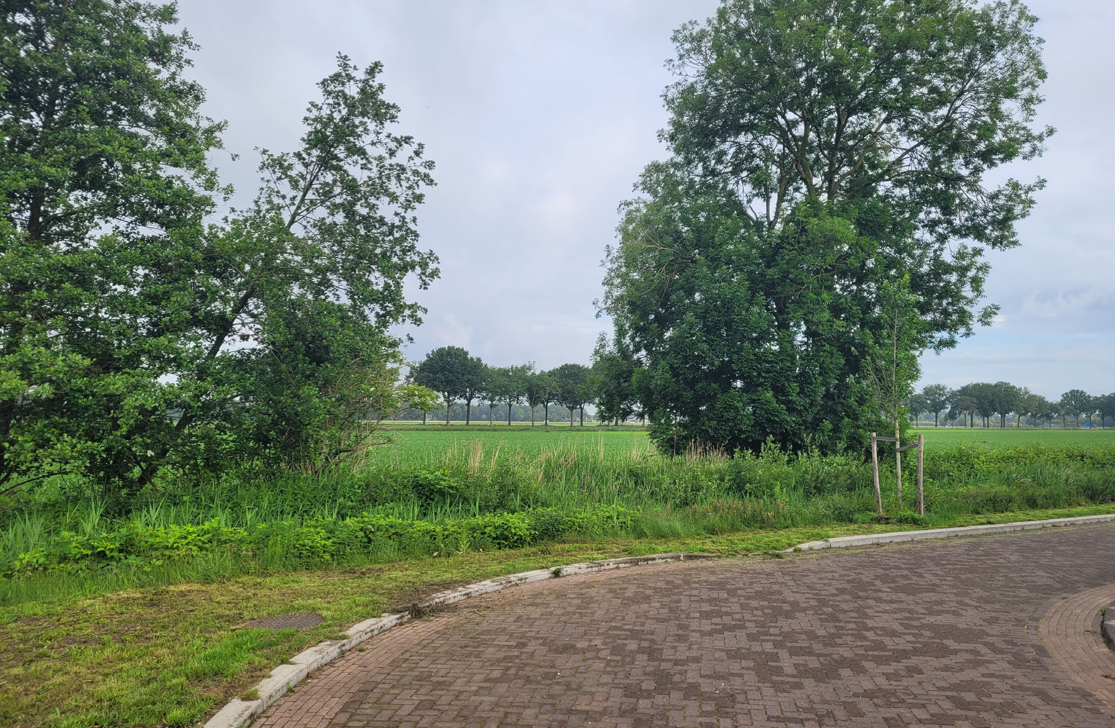 afbeelding "i_NL.IMRO.1991.BPZeelandRepelakk3-VA01_0014.png"