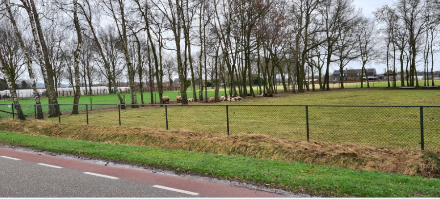 afbeelding "i_NL.IMRO.1991.LageBaan1a-ON01_0005.png"