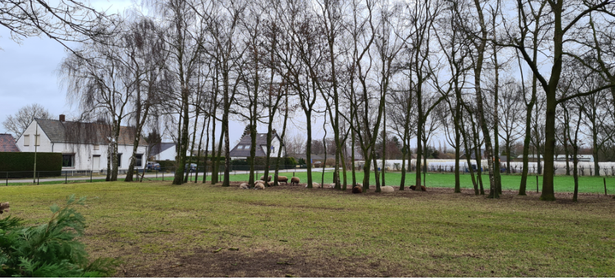 afbeelding "i_NL.IMRO.1991.LageBaan1a-ON01_0006.png"