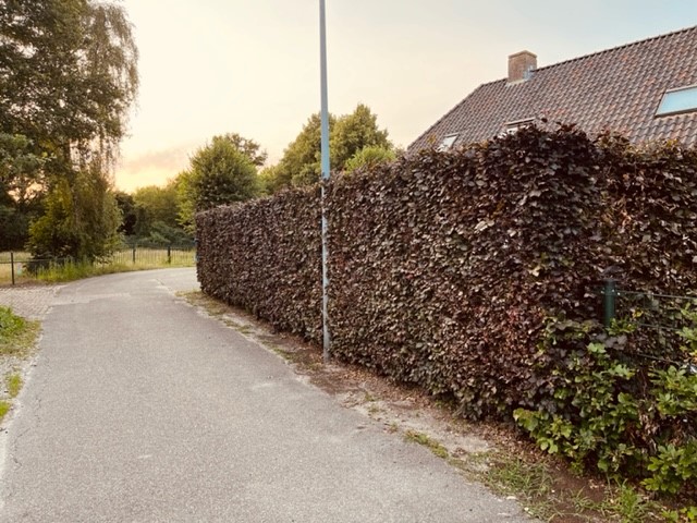 afbeelding "i_NL.IMRO.1991.OVKleuterweg9-VA01_0007.jpg"