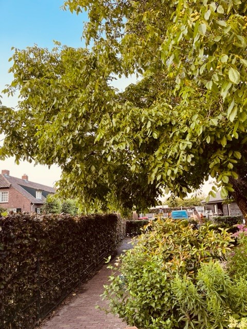 afbeelding "i_NL.IMRO.1991.OVKleuterweg9-VA01_0013.jpg"