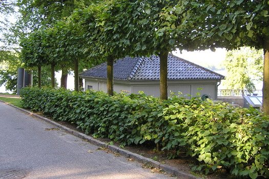 afbeelding "i_NL.IMRO.1991.OVKleuterweg9-VA01_0030.jpg"
