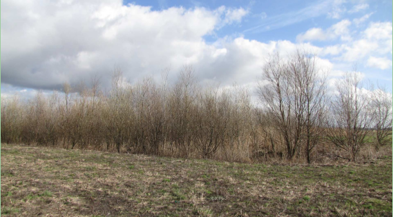 afbeelding "i_NL.IMRO.0335.BpEtuinMwd-VG01_0005.png"