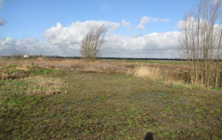 afbeelding "i_NL.IMRO.0335.BpEtuinMwd-VG01_0006.png"