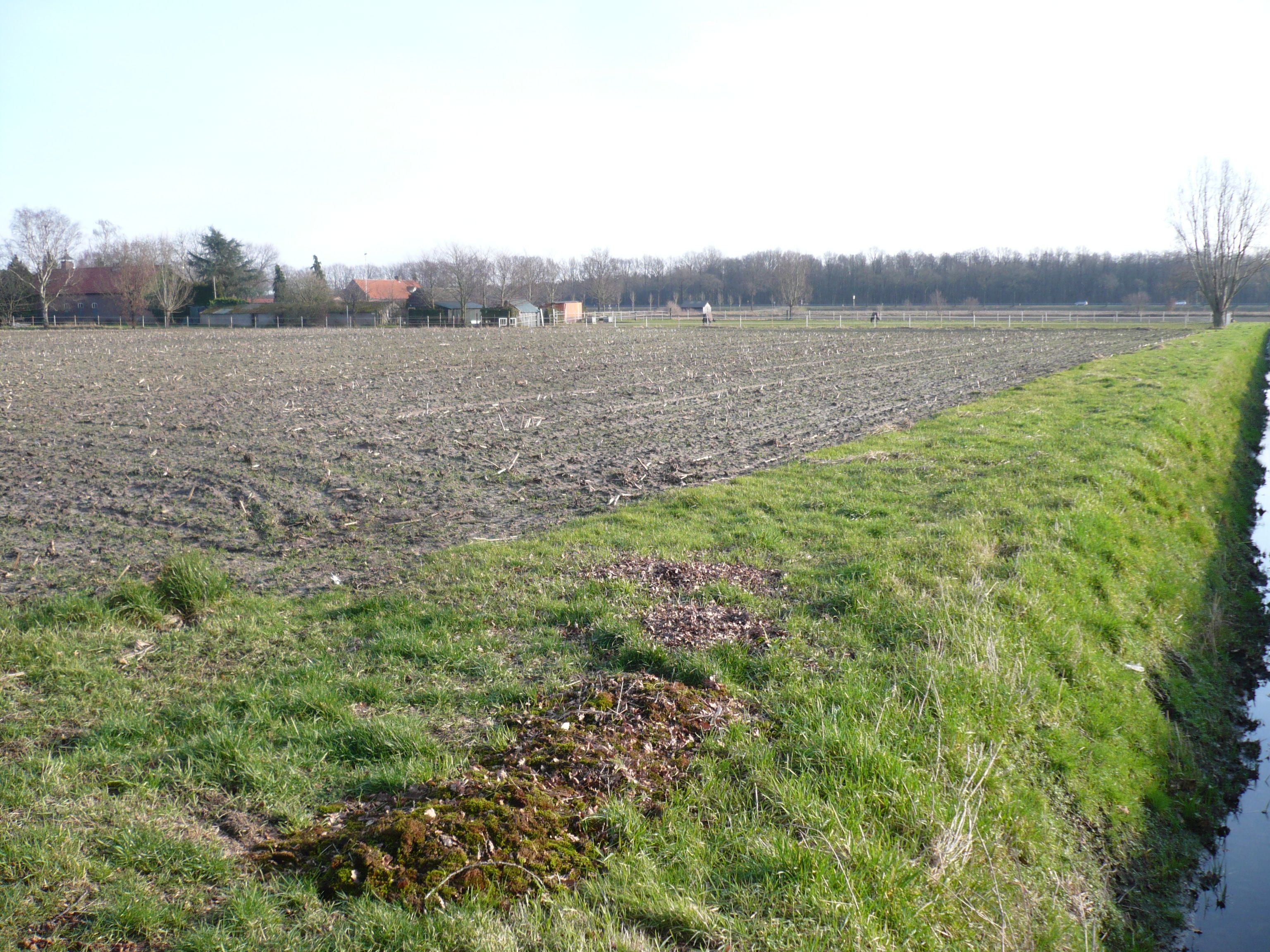 afbeelding "i_NL.IMRO.1894.OMG0050-ON01_0006.jpg"