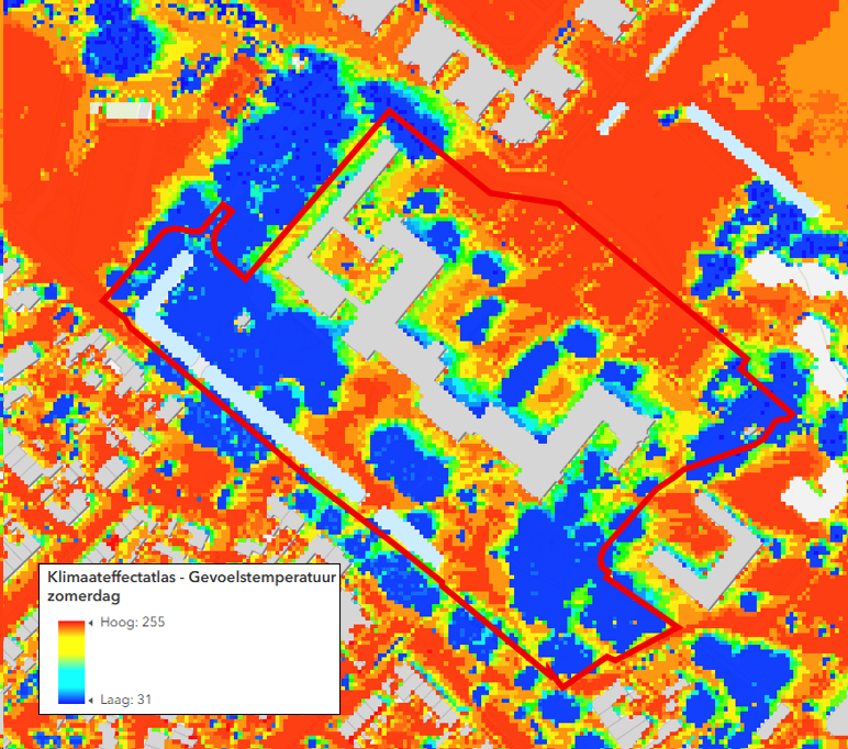 afbeelding "i_NL.IMRO.0845.TAM2025DaD1SMG-ON01_0097.png"