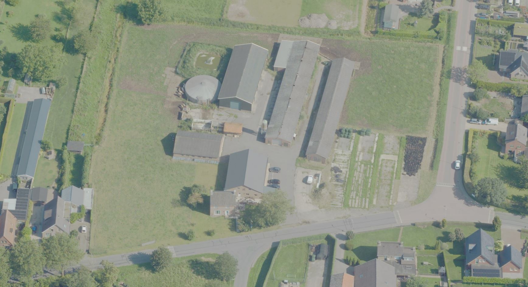 afbeelding "i_NL.IMRO.0225.TAMaffPalmboom-2502_0004.jpg"