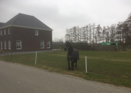 afbeelding "i_NL.IMRO.0225.BPaffPasong-1903_0005.png"
