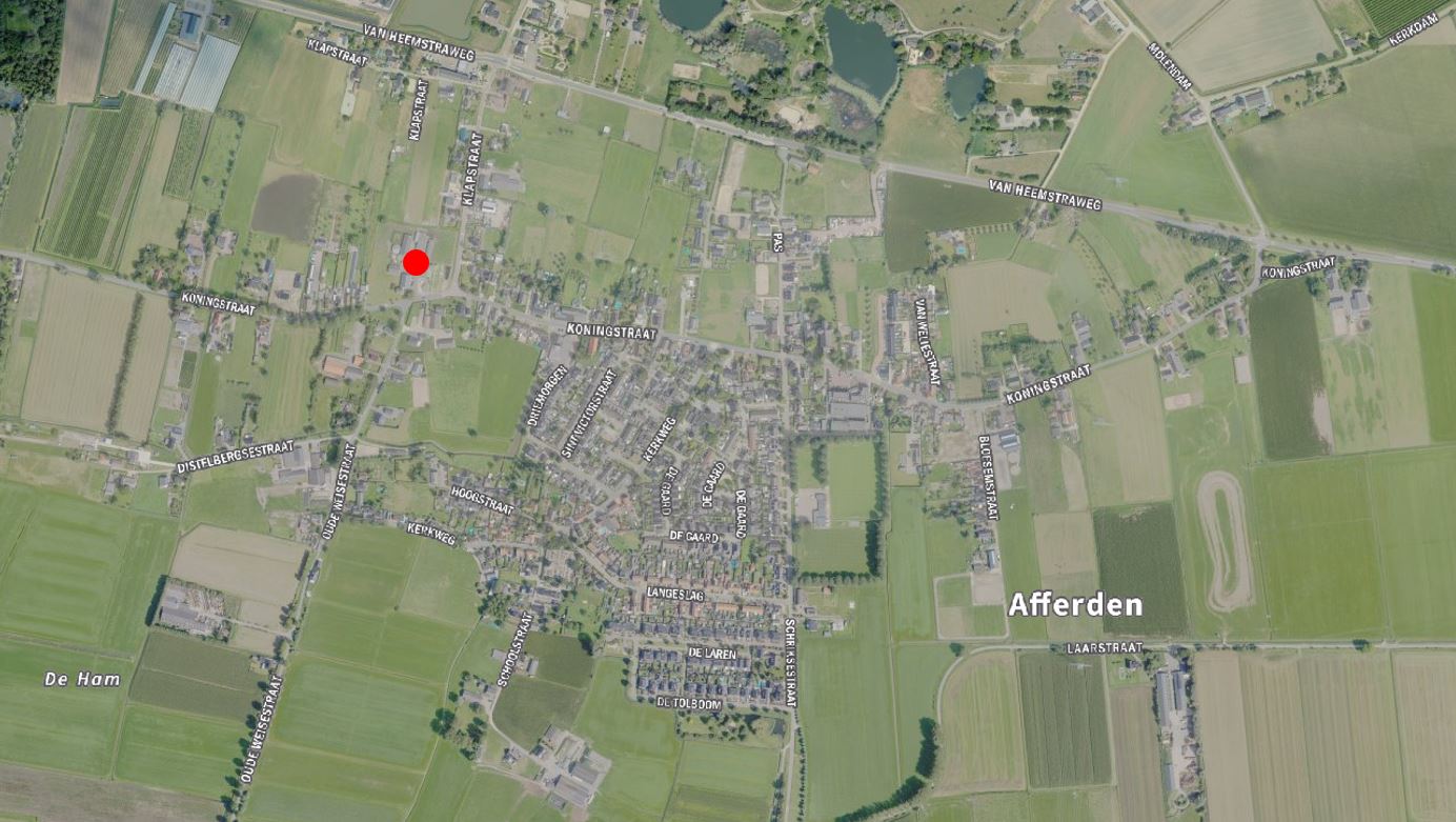 afbeelding "i_NL.IMRO.0225.TAMaffPalmboom-2502_0001.jpg"