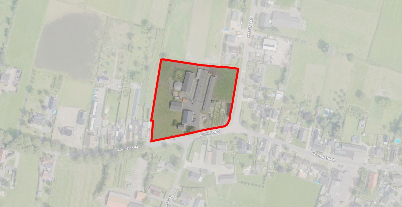 afbeelding "i_NL.IMRO.0225.TAMaffPalmboom-2502_0002.jpg"