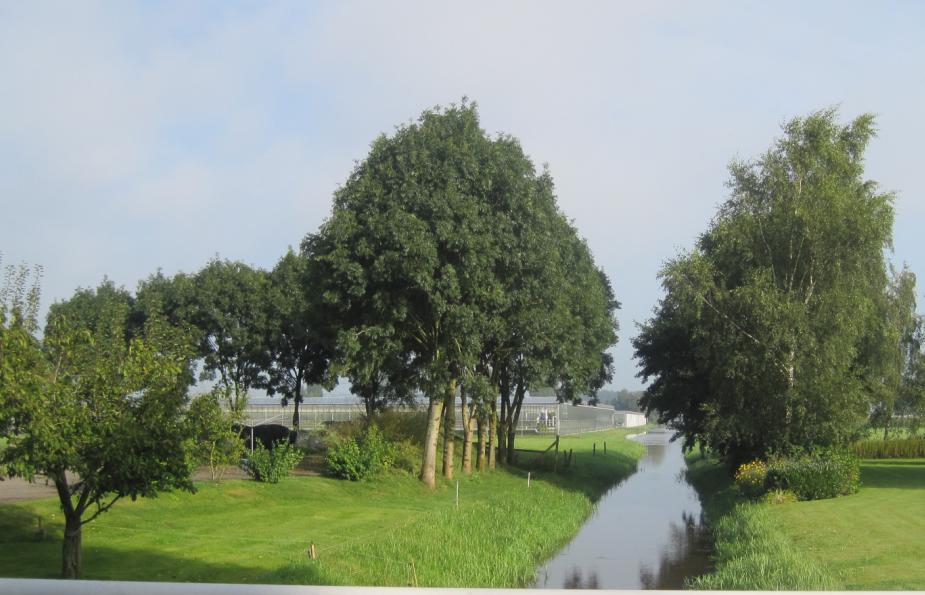 afbeelding "i_NL.IMRO.0166.00991062-VB01_0006.jpg"