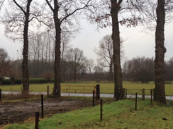 afbeelding "i_NL.IMRO.0273.BPBGBeulekampst31-ON01_0009.png"