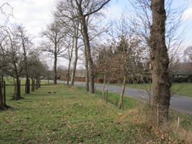 afbeelding "i_NL.IMRO.0273.BPBGBeulekampst31-ON01_0014.png"