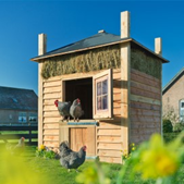 afbeelding "i_NL.IMRO.0273.BPBGBeulekampst31-ON01_0016.png"