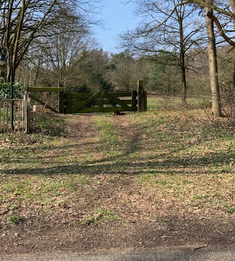 afbeelding "i_NL.IMRO.0296.BGBHoekgraaf11-OW01_0007.png"