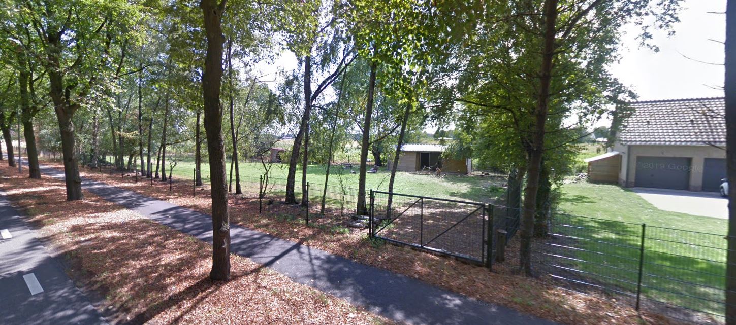 afbeelding "i_NL.IMRO.0296.BGBOosterweg188-OW01_0006.jpg"