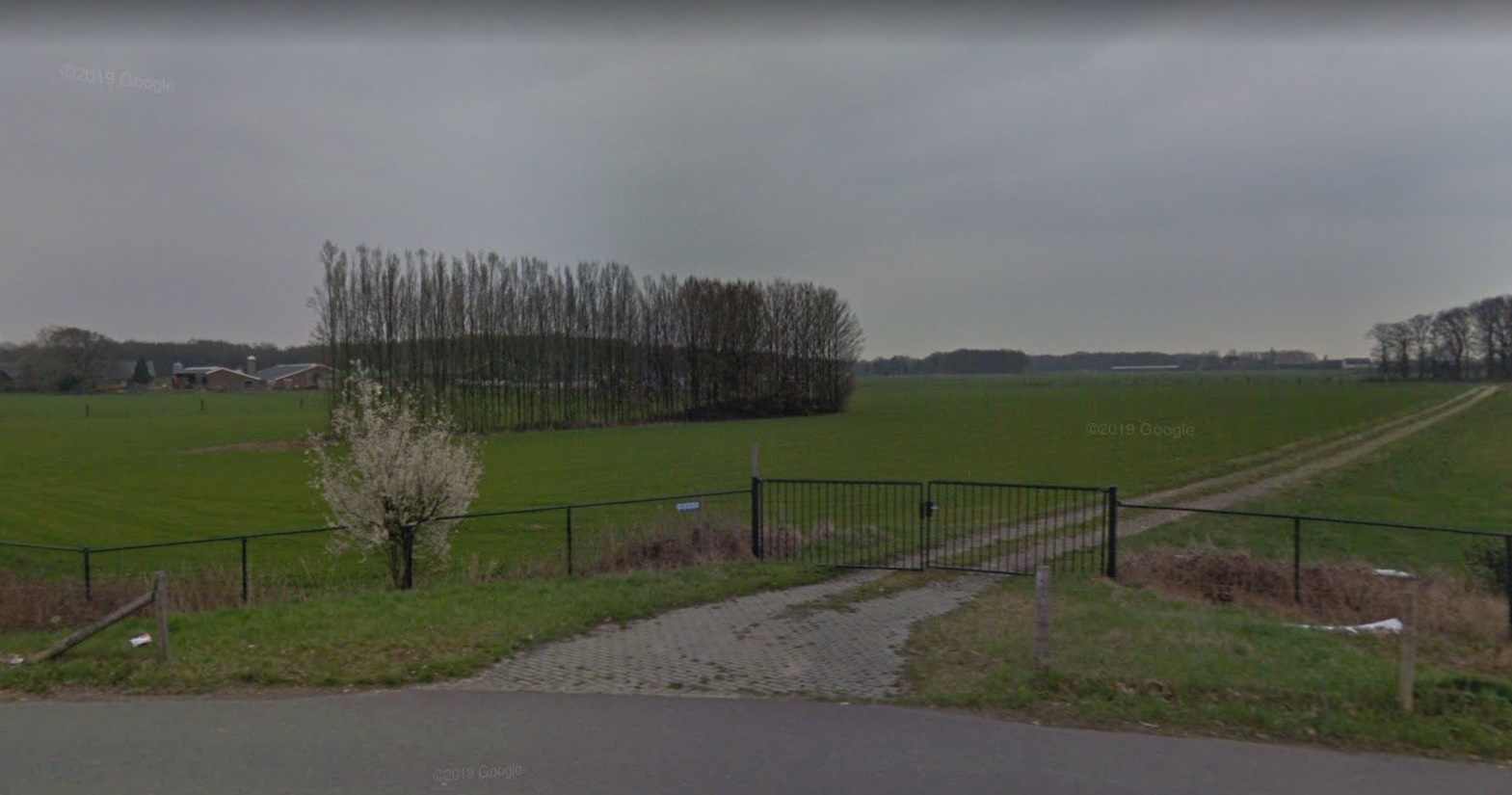 afbeelding "i_NL.IMRO.0296.BGBgraafsewbosk104-OW01_0004.jpg"