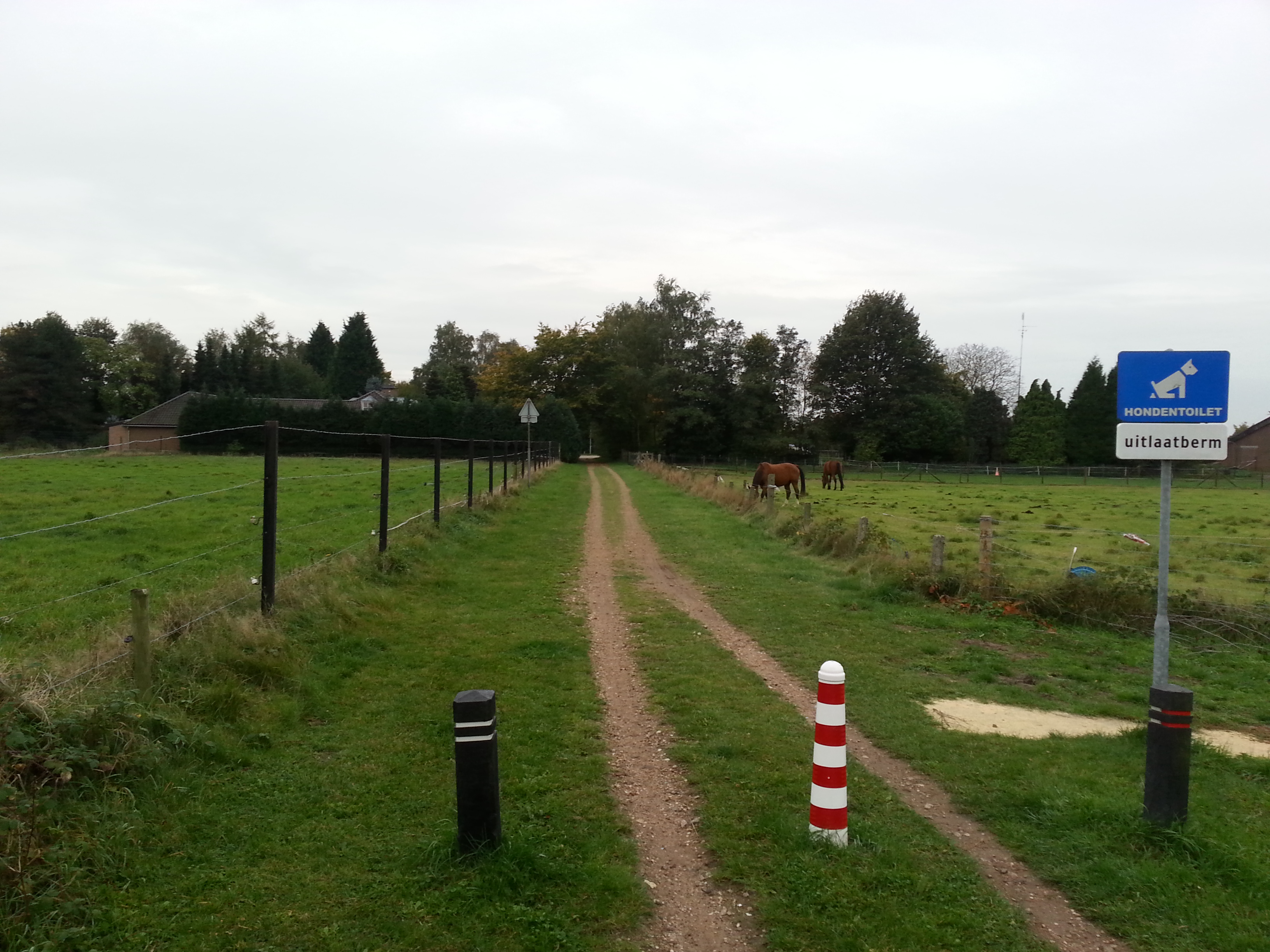 afbeelding "i_NL.IMRO.0296.WOEZDISTELWEG-VGBP_0005.jpg"